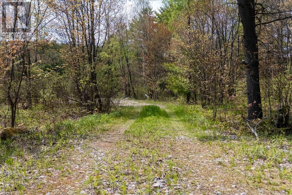 307 Lakeview Drive, Alban, Ontario  P0M 1A0 - Photo 39 - 2128201