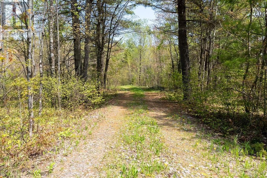 307 Lakeview Drive, Alban, Ontario  P0M 1A0 - Photo 25 - 2128201