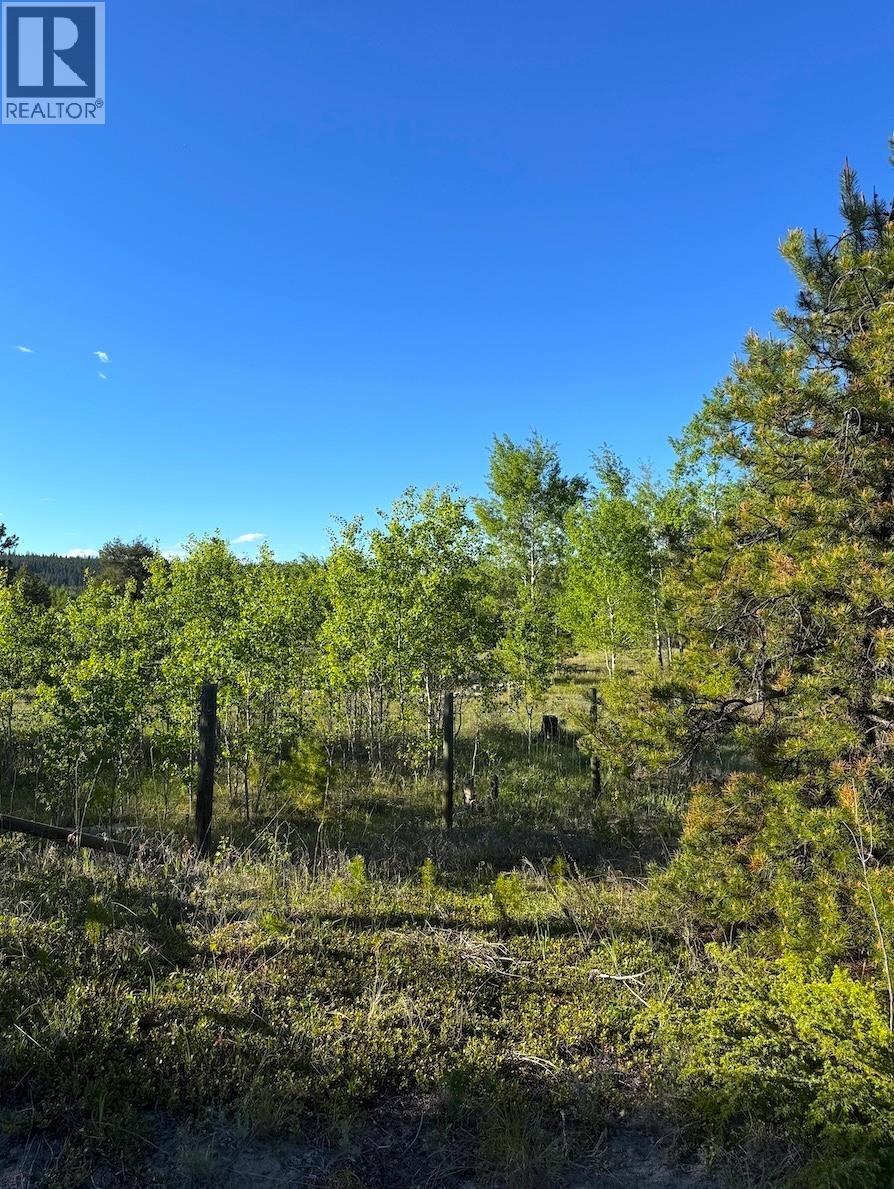 1884 Puntzi Airport Road, Chilcotin, British Columbia  V0L 1H0 - Photo 6 - R3125740