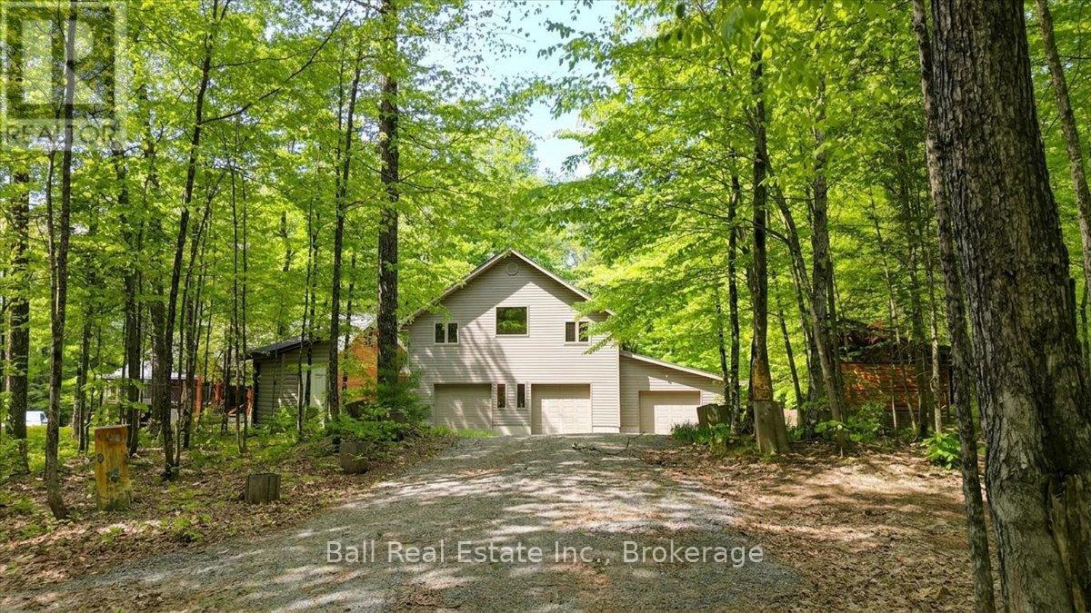 203 Cottage Lane, Carlow/mayo, Ontario  K0L 2M0 - Photo 30 - X13221616