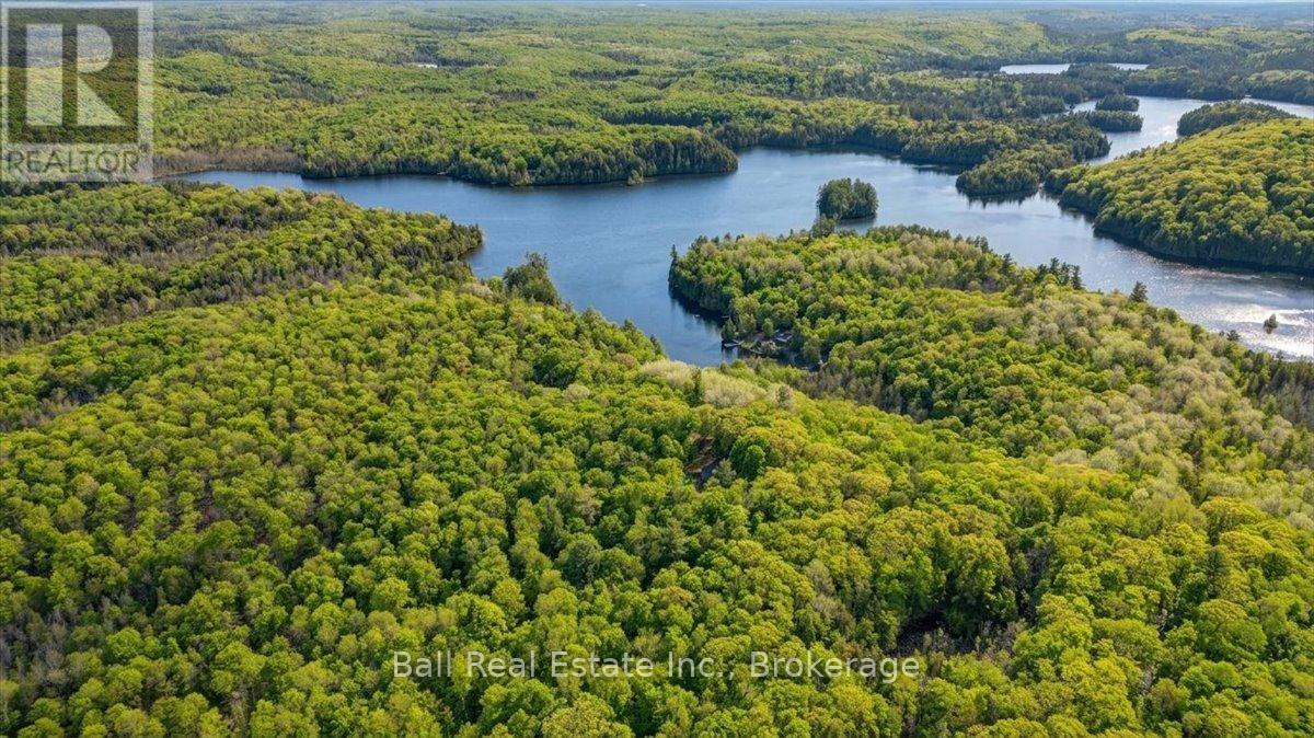203 Cottage Lane, Carlow/mayo, Ontario  K0L 2M0 - Photo 46 - X13221616