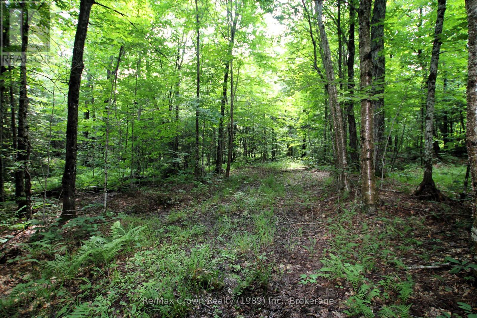 0 20th Side Road, Parry Sound Remote Area, Ontario P0H 1Y0 - Photo 10 - X13221450