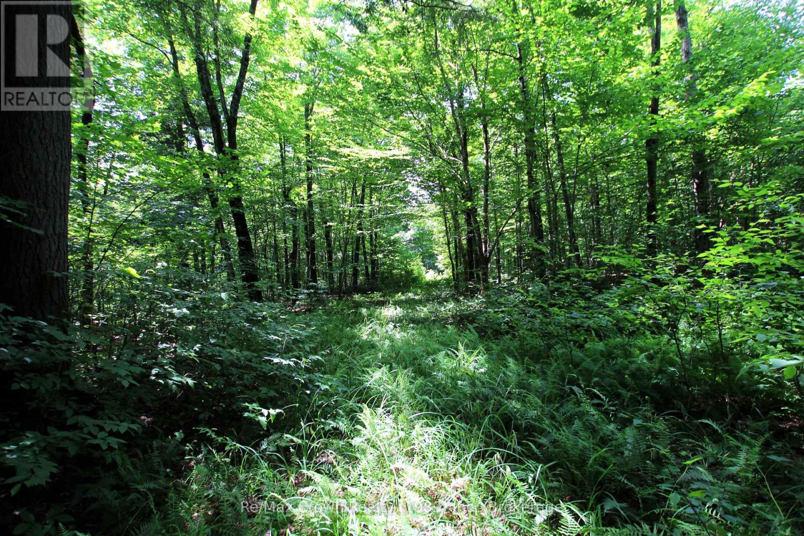 0 20th Side Road, Parry Sound Remote Area, Ontario P0H 1Y0 - Photo 11 - X13221450
