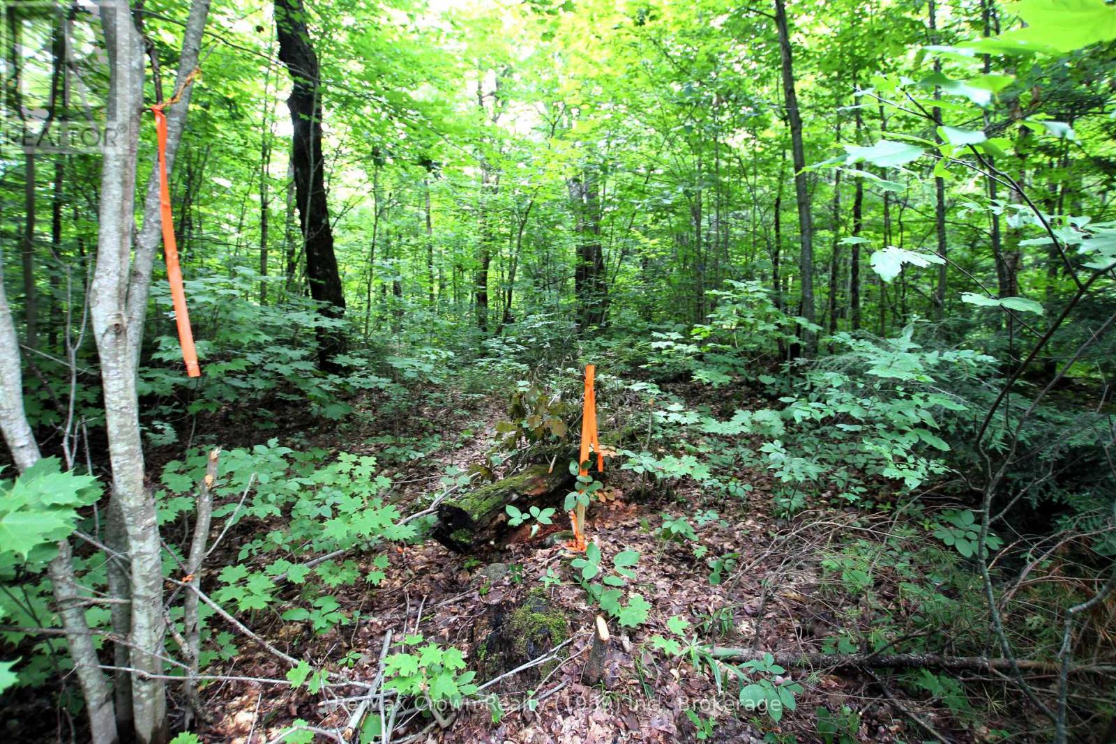0 20th Side Road, Parry Sound Remote Area, Ontario P0H 1Y0 - Photo 3 - X13221450