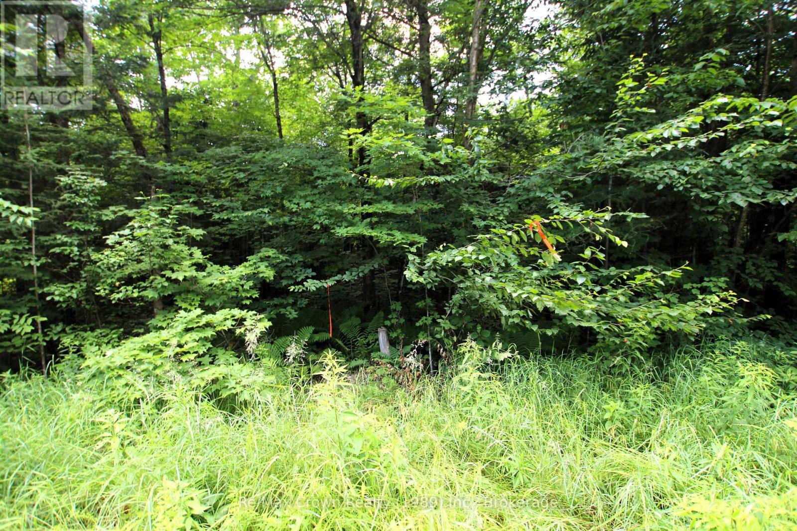 0 20th Side Road, Parry Sound Remote Area, Ontario P0H 1Y0 - Photo 4 - X13221450