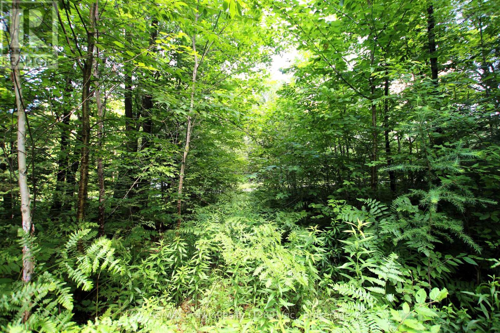 0 20th Side Road, Parry Sound Remote Area, Ontario P0H 1Y0 - Photo 5 - X13221450