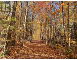0 20TH SIDE ROAD, parry sound remote area (mcconkey), Ontario