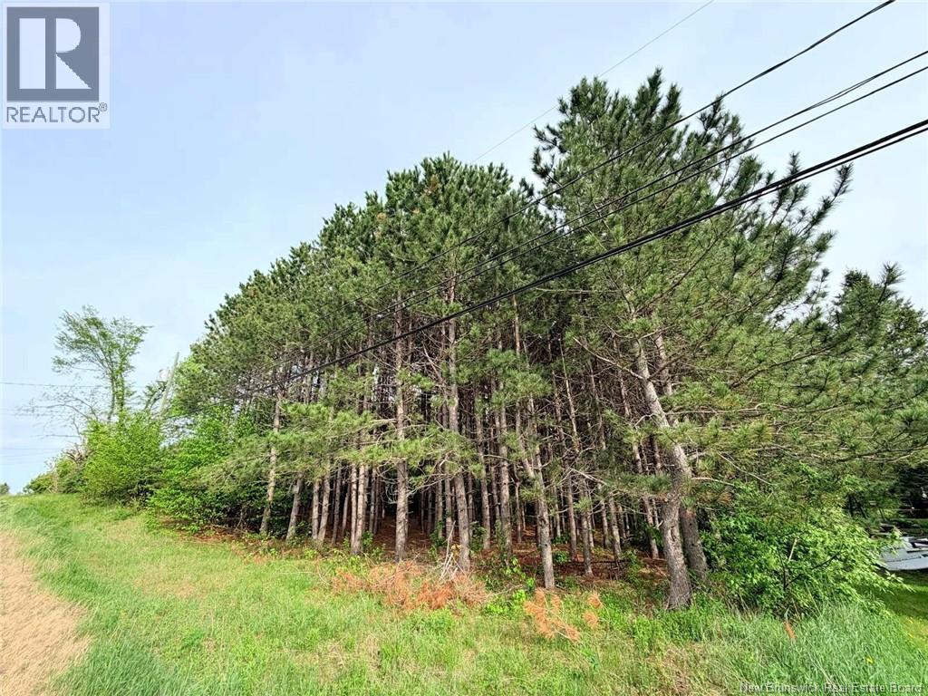 Vacant Lot 74-1a Cape Breton Rd Road, Irishtown, New Brunswick  E4P 1V8 - Photo 2 - NB140272