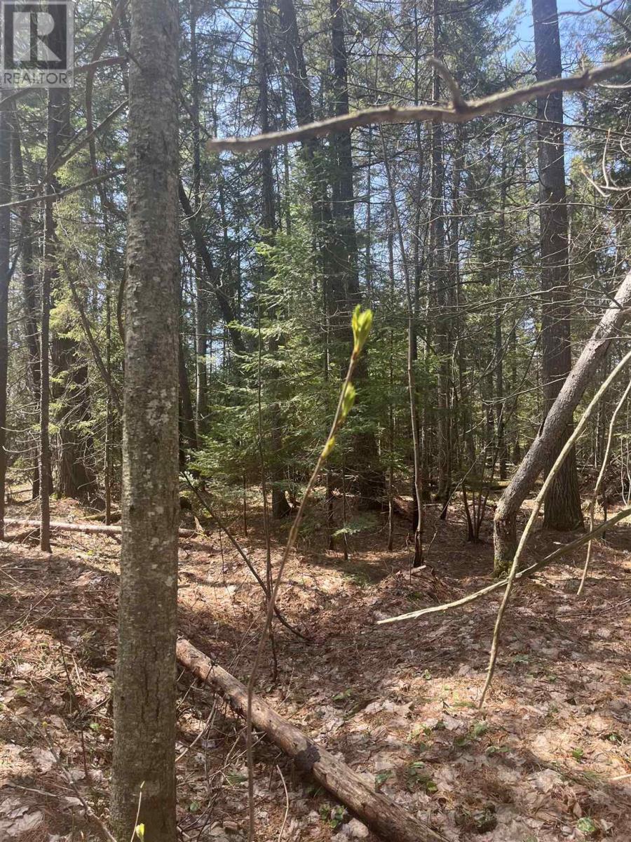 843 Airport Rd, Sault Ste. Marie, Ontario  P6A 5K6 - Photo 11 - SM261064
