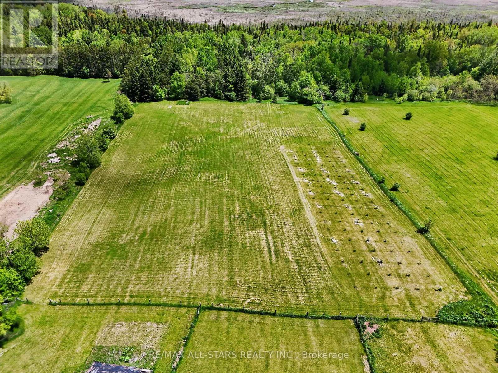 10655 Sideroad 17, Brock, Ontario  L0C 1H0 - Photo 41 - N13221196