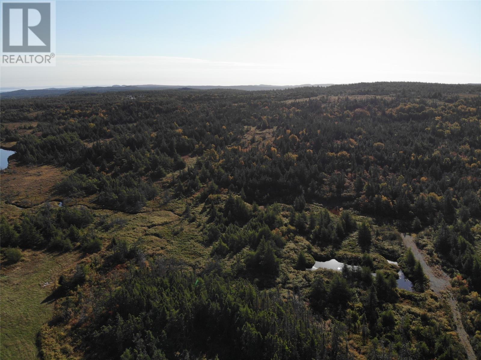 800a Country Road, Bay Roberts, Newfoundland & Labrador  A0A 1G0 - Photo 12 - 1298317