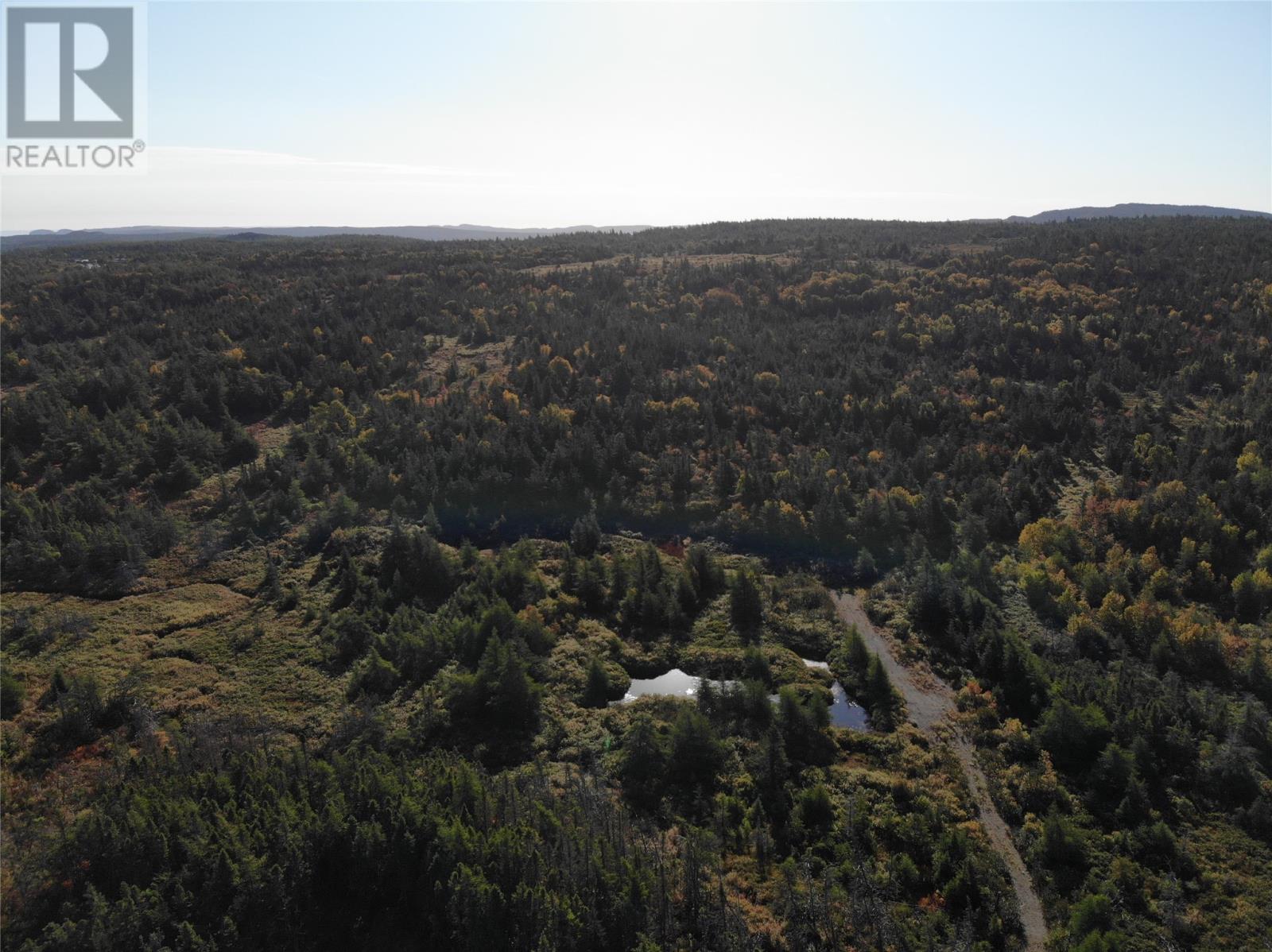 800a Country Road, Bay Roberts, Newfoundland & Labrador  A0A 1G0 - Photo 15 - 1298317