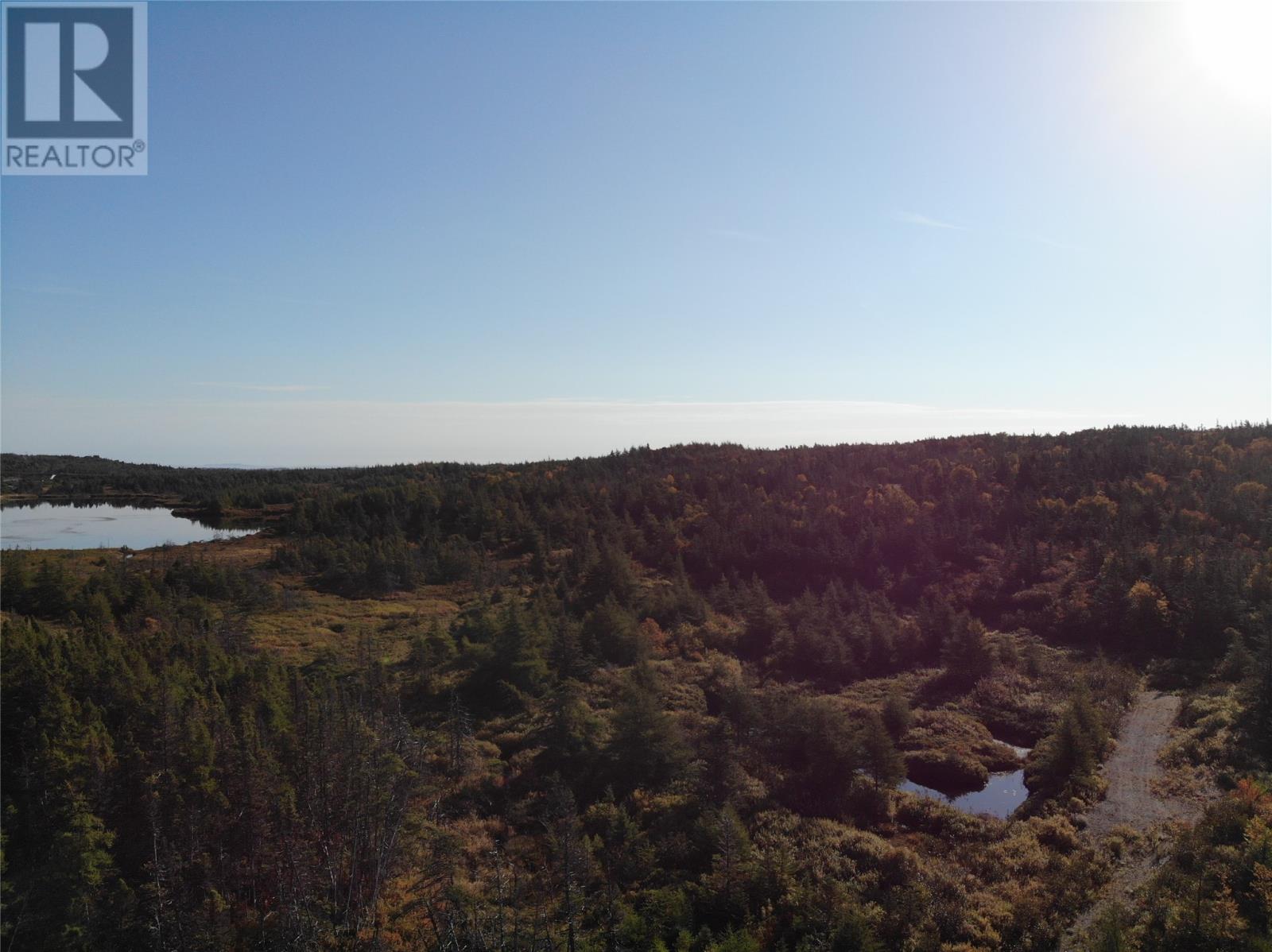 800a Country Road, Bay Roberts, Newfoundland & Labrador  A0A 1G0 - Photo 17 - 1298317