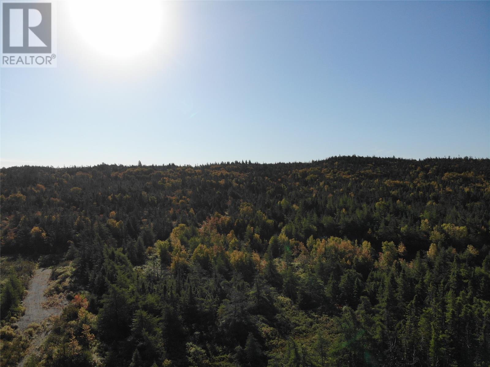 800a Country Road, Bay Roberts, Newfoundland & Labrador  A0A 1G0 - Photo 18 - 1298317