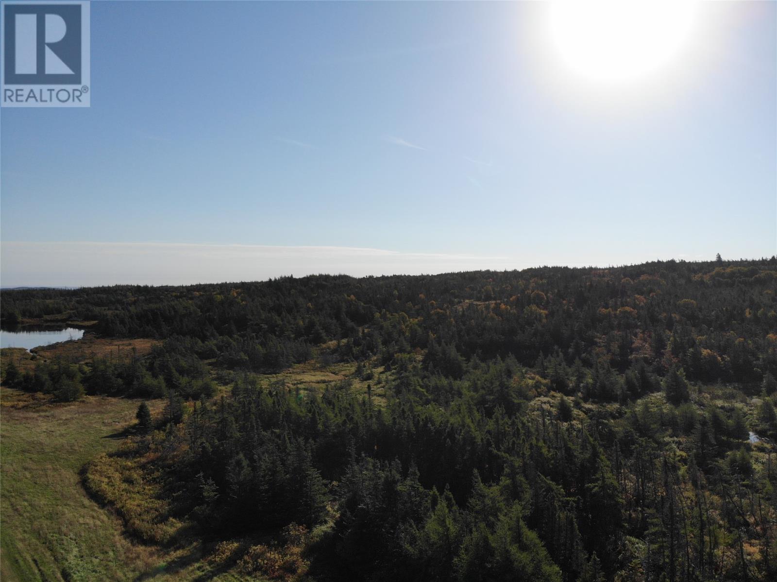 800a Country Road, Bay Roberts, Newfoundland & Labrador  A0A 1G0 - Photo 7 - 1298317