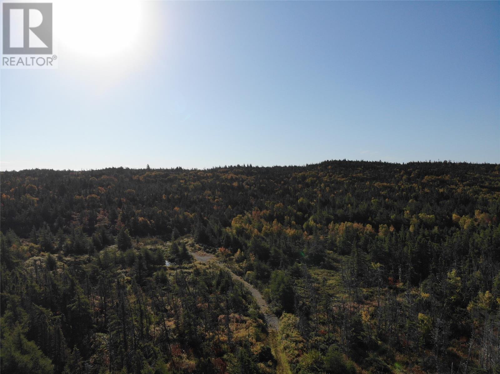 800a Country Road, Bay Roberts, Newfoundland & Labrador  A0A 1G0 - Photo 8 - 1298317