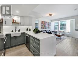 727 - 85 EAST LIBERTY STREET, Toronto, Ontario