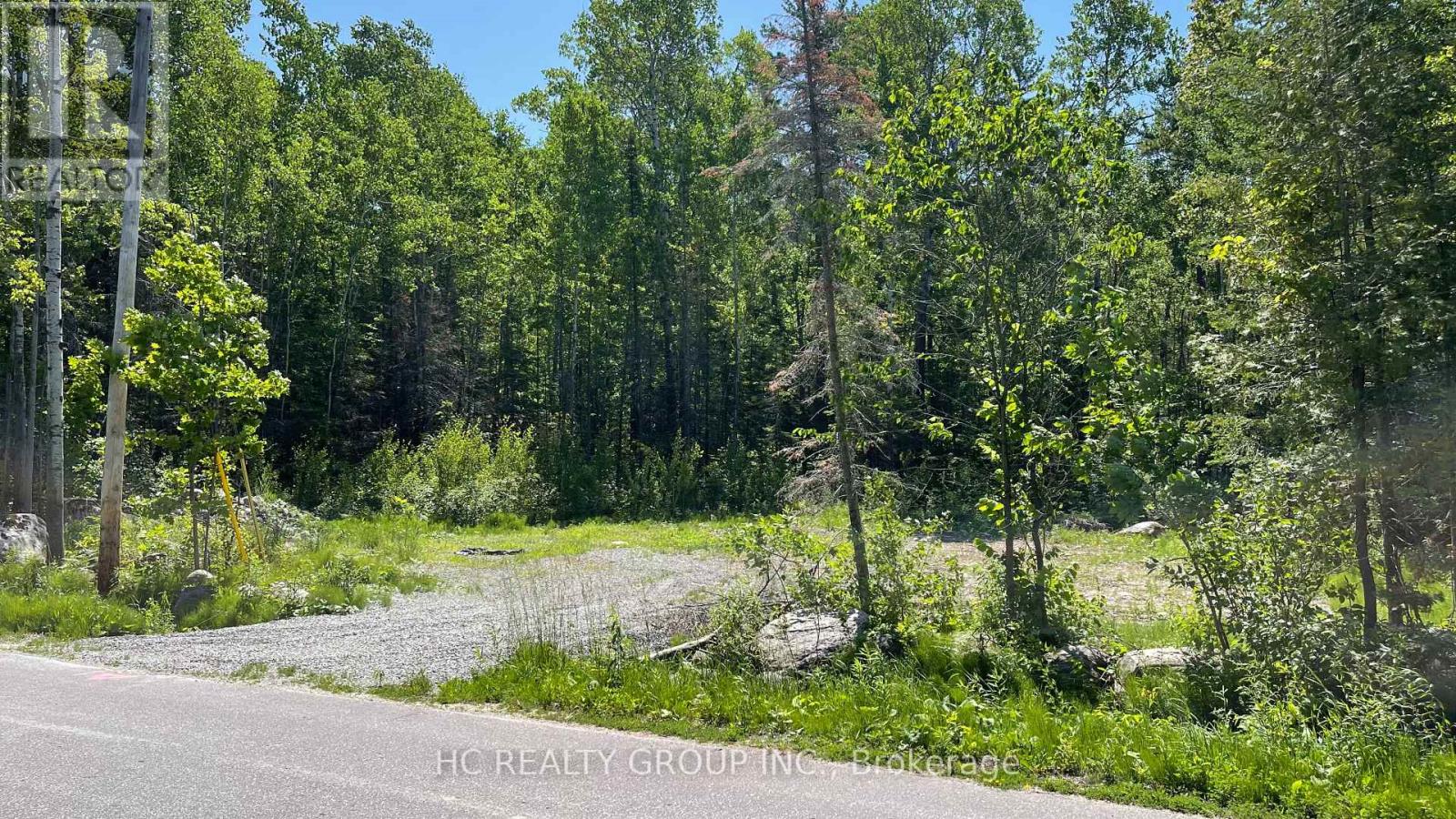 Lt101 Silver Birch Drive, Tiny, Ontario  L9M 0M5 - Photo 2 - S13221734