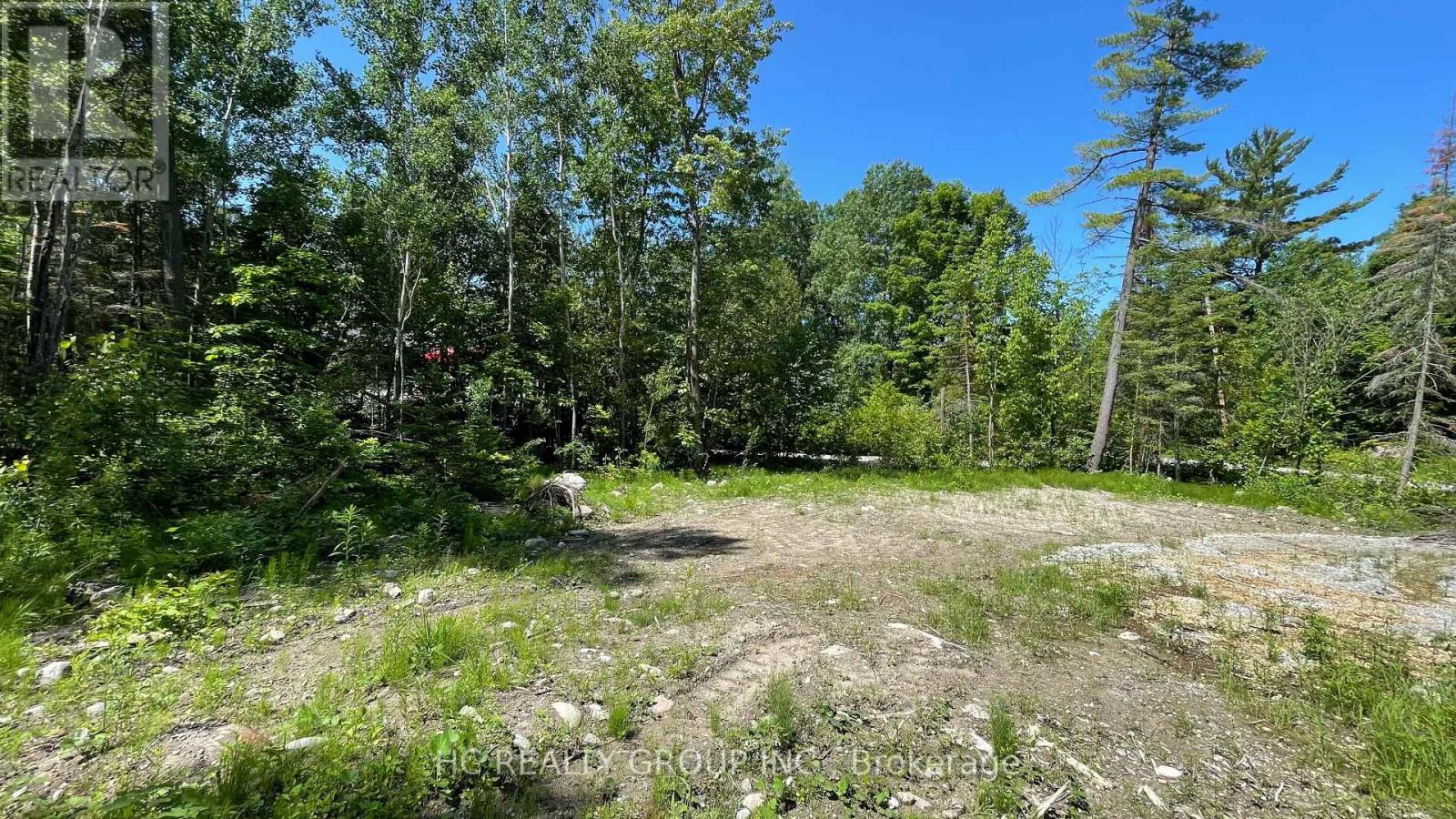 Lt101 Silver Birch Drive, Tiny, Ontario  L9M 0M5 - Photo 6 - S13221734