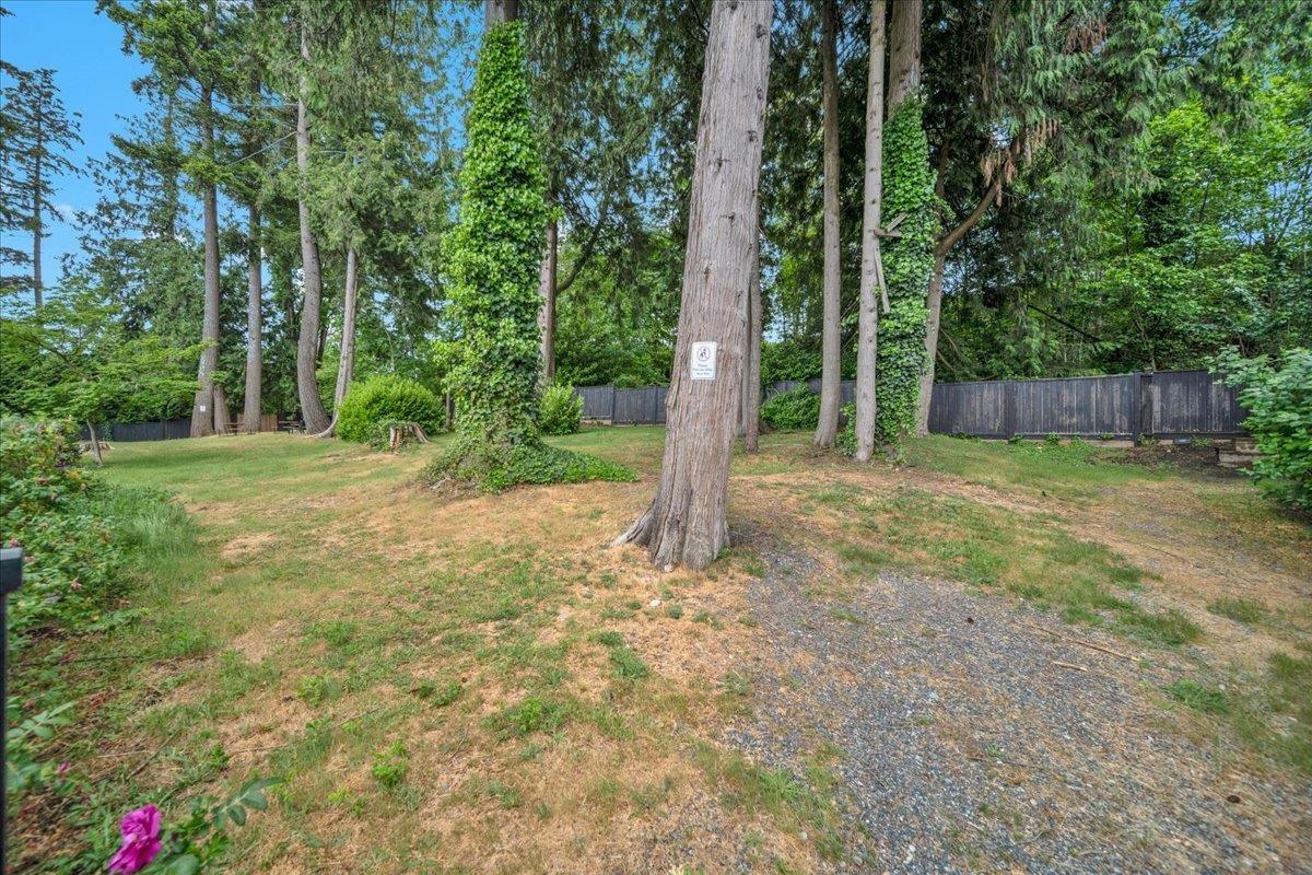 86 14555 68 Avenue, Surrey, British Columbia  V3S 2A8 - Photo 32 - R3127634