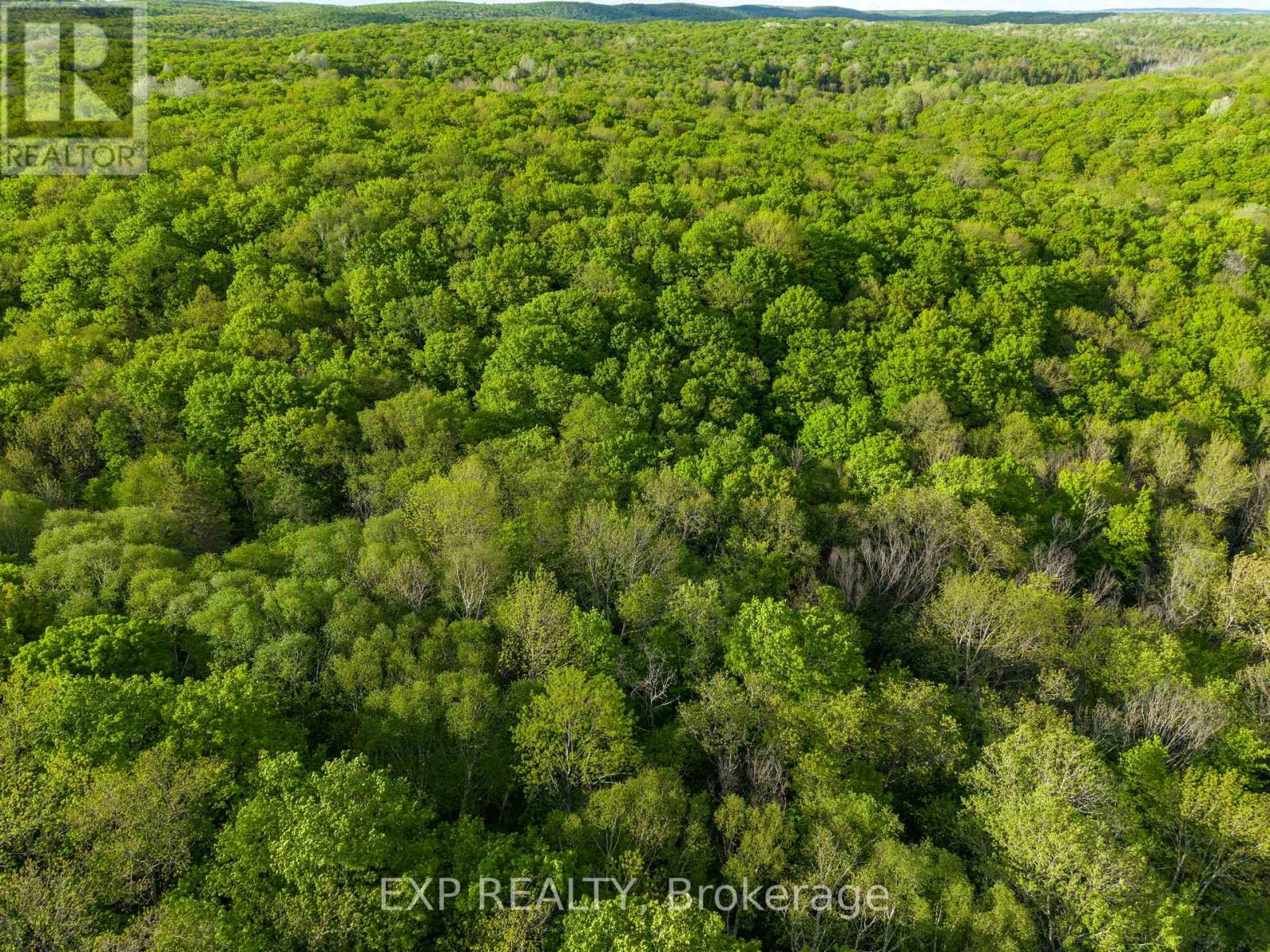 1057 Macduff Road, Highlands East, Ontario  K0L 2Y0 - Photo 26 - X13221764