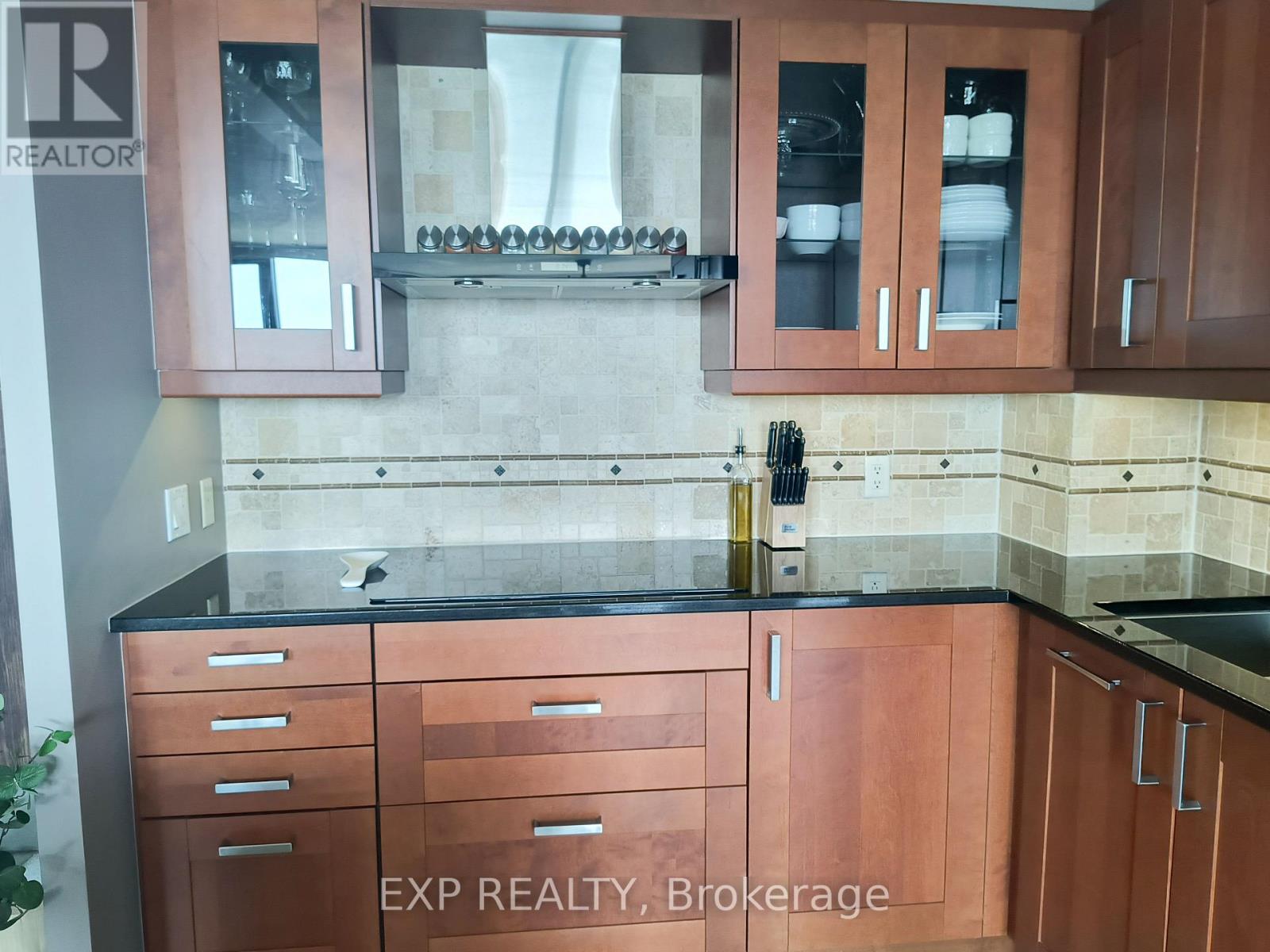 1105 - 2871 Richmond Road, Ottawa, Ontario  K2B 8M5 - Photo 11 - X13222084