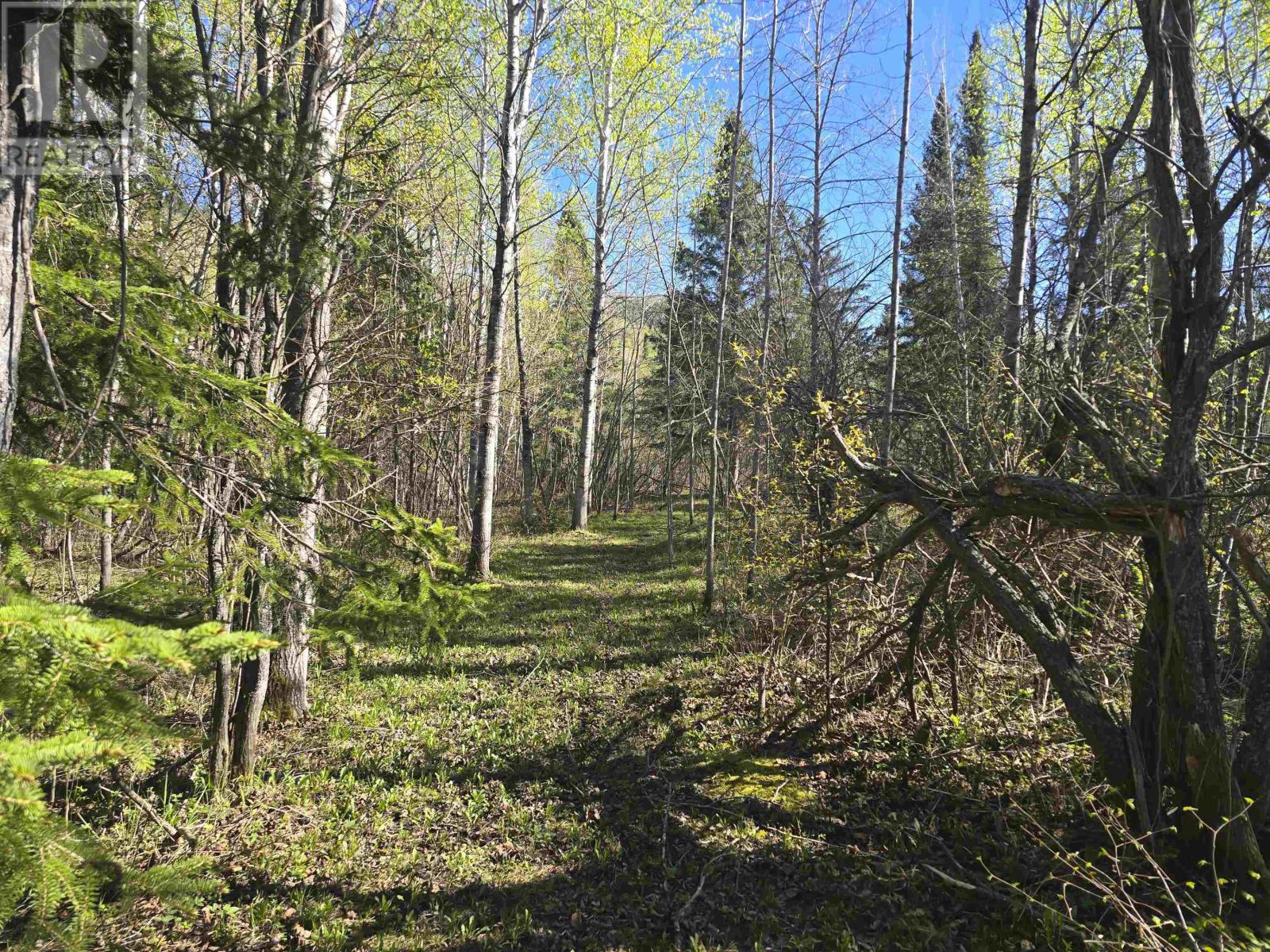 6301 Loch Lomond Rd, Thunder Bay, Ontario  P7K 1C1 - Photo 44 - TB2601281