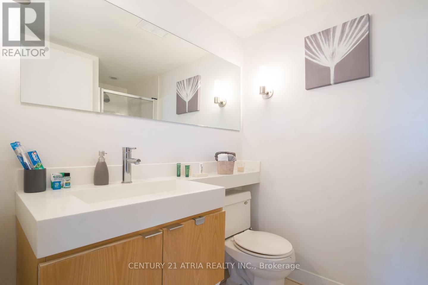 302 - 4k Spadina Avenue, Toronto, Ontario  M5V 3Y9 - Photo 11 - C13221946