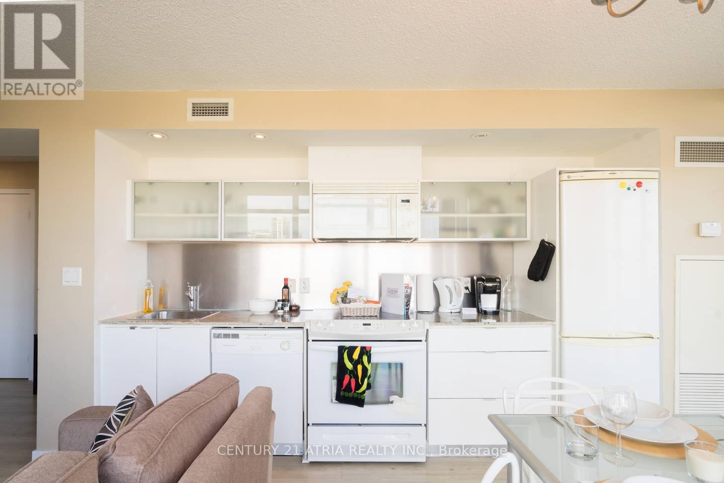302 - 4k Spadina Avenue, Toronto, Ontario  M5V 3Y9 - Photo 4 - C13221946