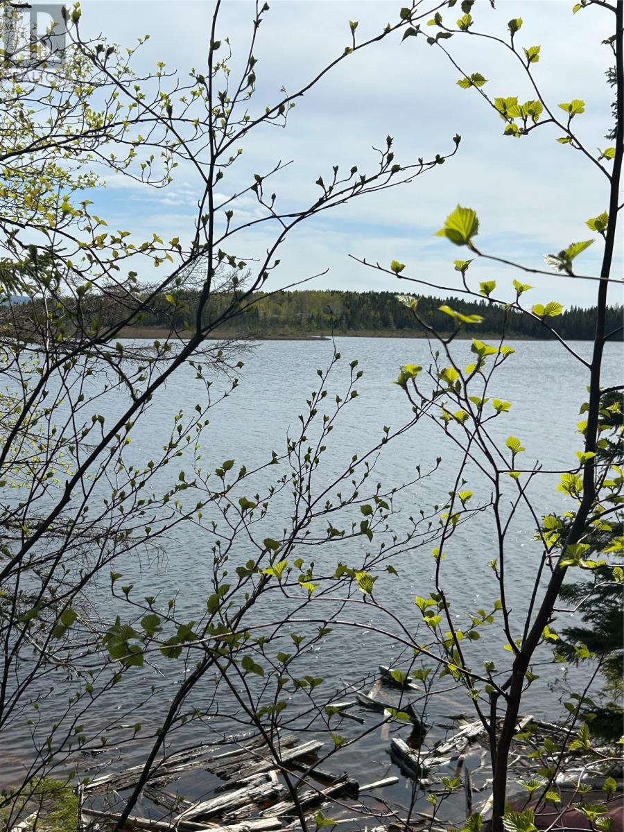 Lot 6 Partridgeberry Point, Howley, Newfoundland & Labrador  A0K 3E0 - Photo 3 - 1298308