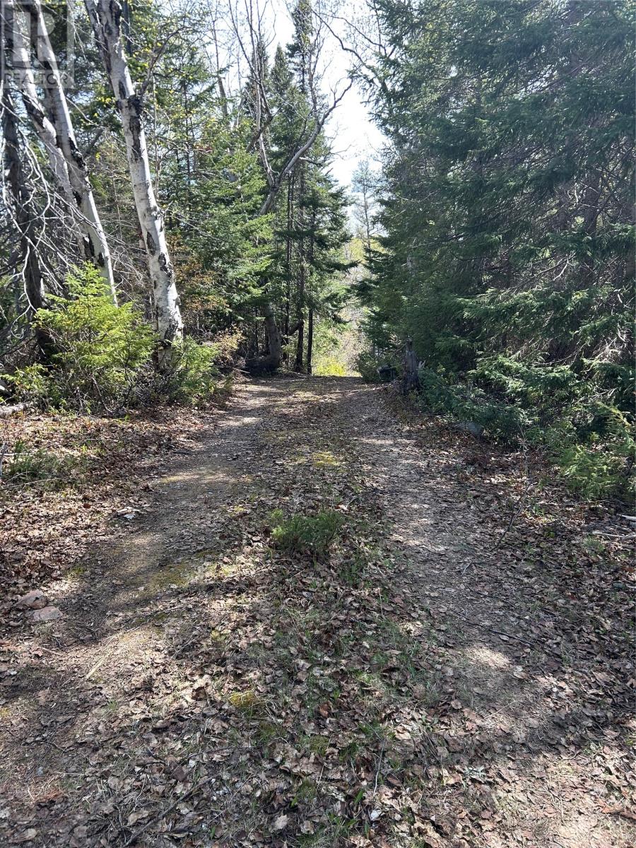 Lot 6 Partridgeberry Point, Howley, Newfoundland & Labrador  A0K 3E0 - Photo 4 - 1298308