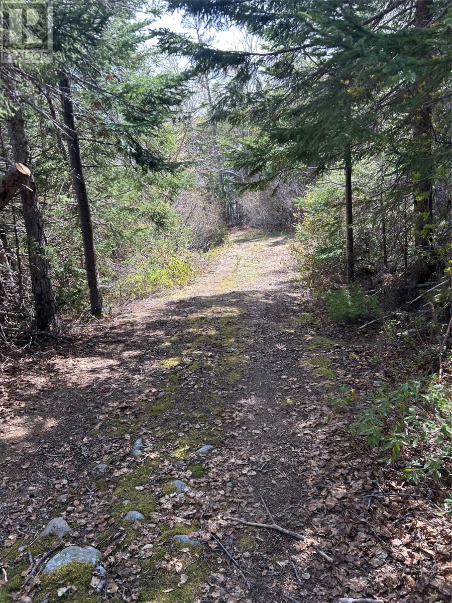 Lot 6 Partridgeberry Point, Howley, Newfoundland & Labrador  A0K 3E0 - Photo 5 - 1298308