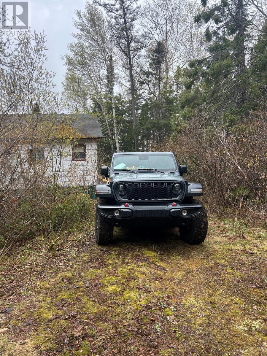 Lot 6 Partridgeberry Point, Howley, Newfoundland & Labrador  A0K 3E0 - Photo 6 - 1298308
