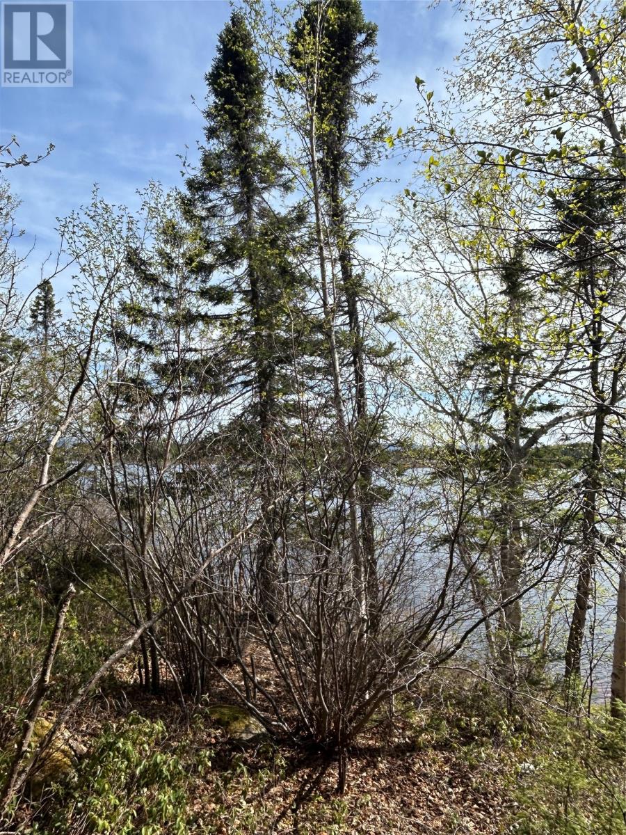 Lot 6 Partridgeberry Point, Howley, Newfoundland & Labrador  A0K 3E0 - Photo 8 - 1298308