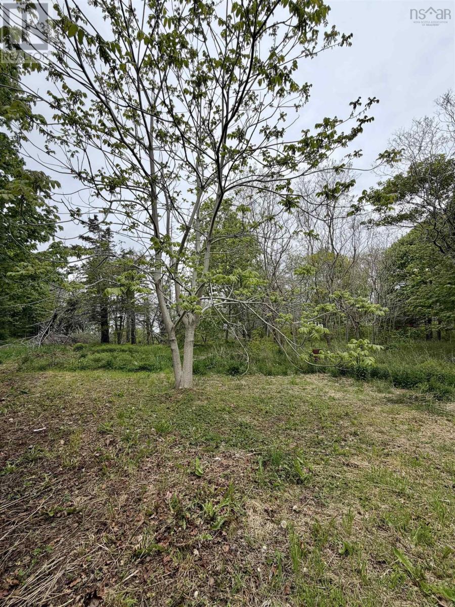 8721 Highway 101, Brighton, Nova Scotia  B0V 1A0 - Photo 25 - 202612782