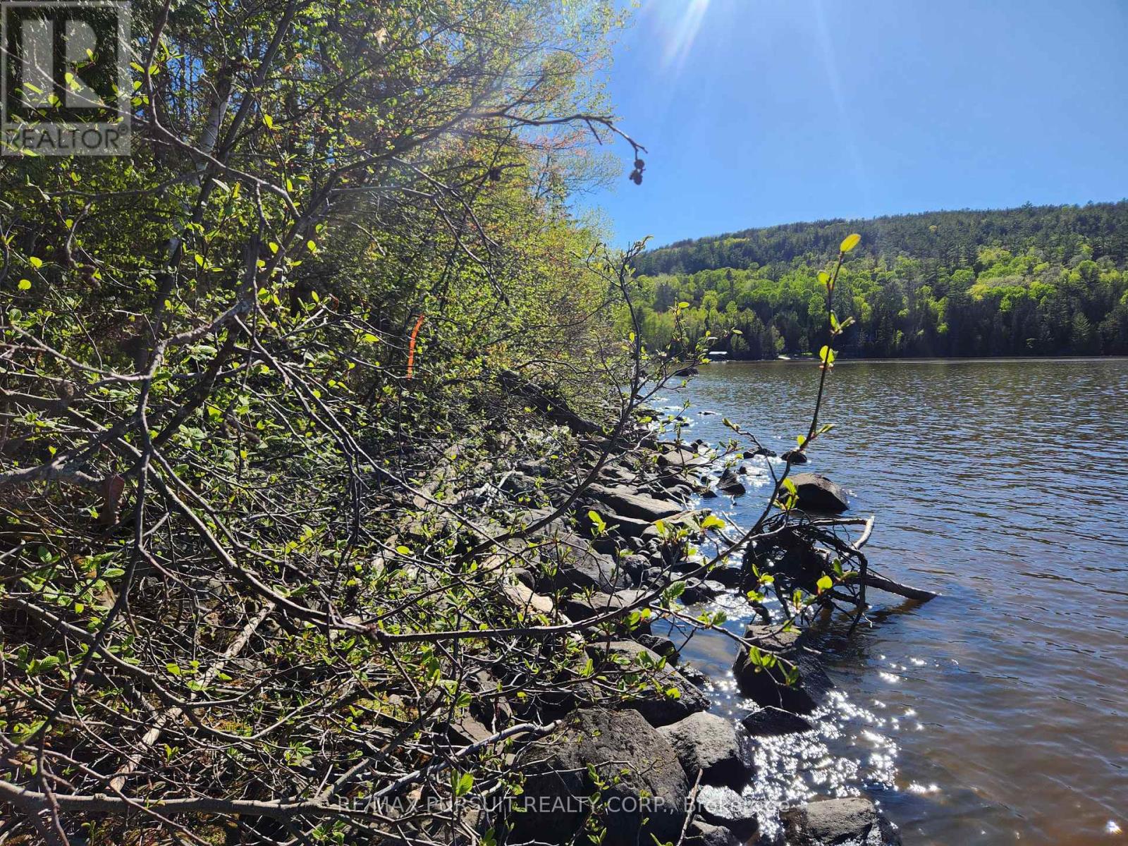 54-C-247082 Part Of Pin 61390-0273, Timiskaming, Ontario  P0J 1R0 - Photo 27 - T12936568