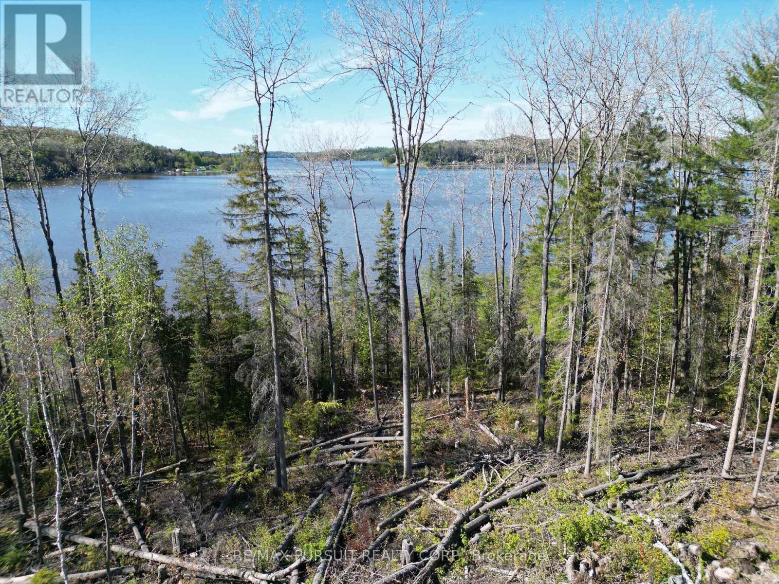 54-C-247082 Part Of Pin 61390-0273, Timiskaming, Ontario  P0J 1R0 - Photo 14 - T12936568