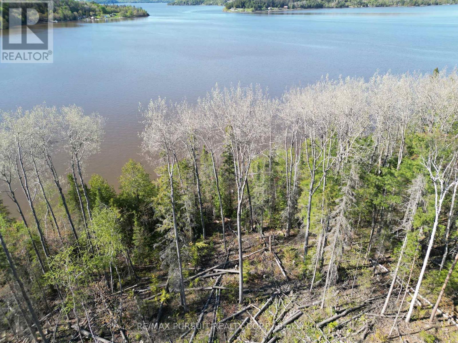 54-C-247082 Part Of Pin 61390-0273, Timiskaming, Ontario  P0J 1R0 - Photo 15 - T12936568