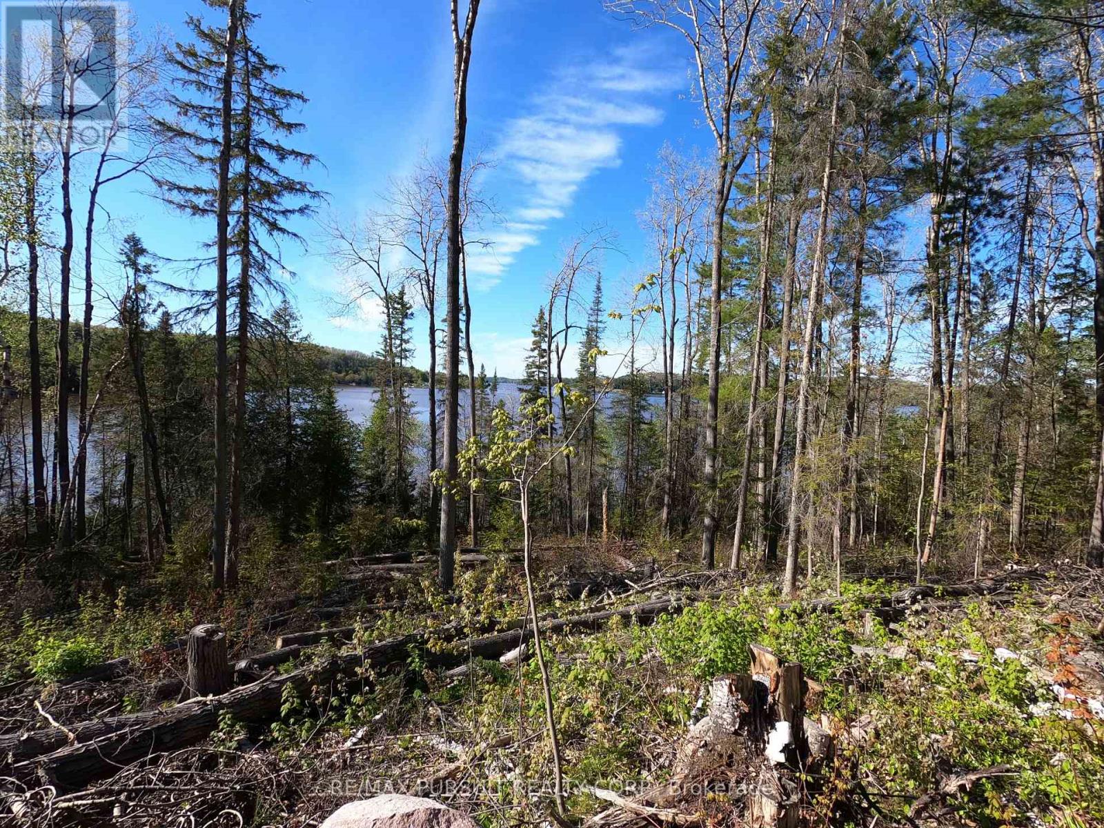 54-C-247082 Part Of Pin 61390-0273, Timiskaming, Ontario  P0J 1R0 - Photo 28 - T12936568