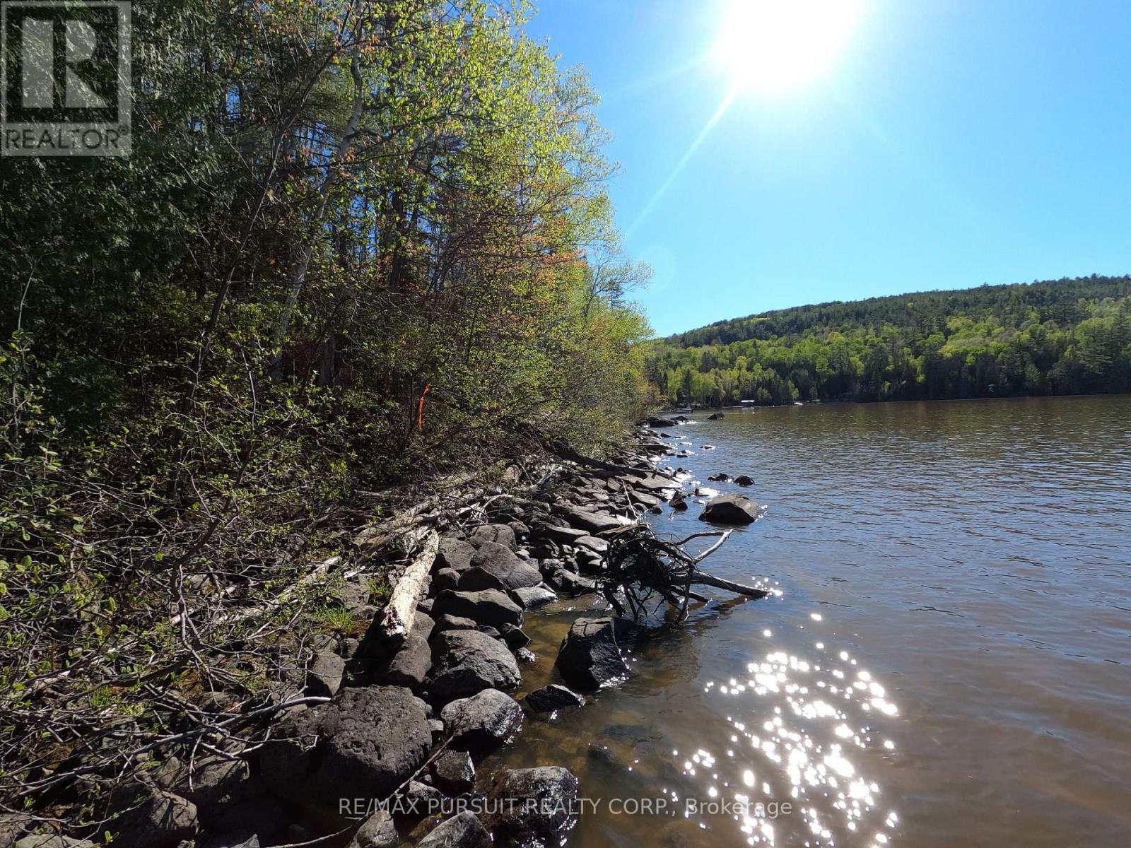 54-C-247082 Part Of Pin 61390-0273, Timiskaming, Ontario  P0J 1R0 - Photo 3 - T12936568