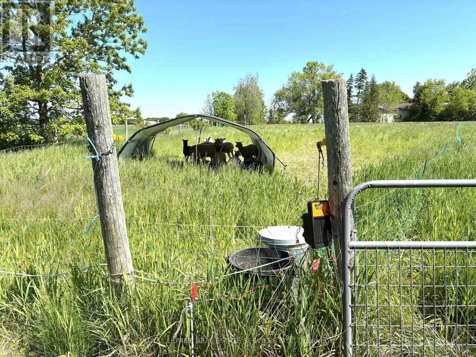 3680 Campden Road, Lincoln, Ontario  L0R 1G0 - Photo 49 - X13055650