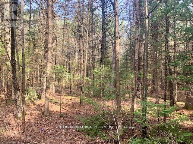 0 The Ave Road N, Kawartha Lakes, Ontario  K0M 2A0 - Photo 2 - X13222402