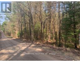 0 THE AVE ROAD N, Kawartha Lakes, Ontario