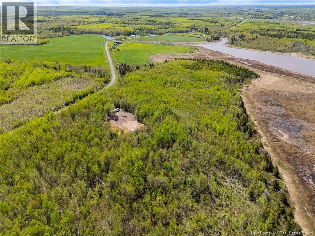 Lot Duguay Point Road, Shemogue, New Brunswick  E4M 3W6 - Photo 4 - NB140796