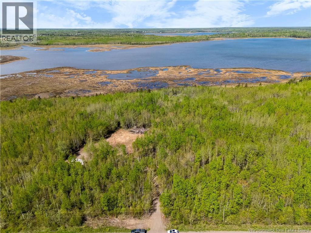 Lot Duguay Point Road, Shemogue, New Brunswick  E4M 3W6 - Photo 7 - NB140796