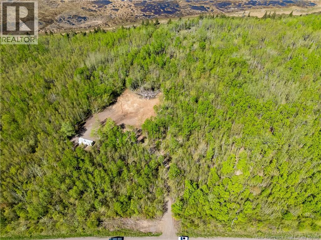 Lot Duguay Point Road, Shemogue, New Brunswick  E4M 3W6 - Photo 8 - NB140796