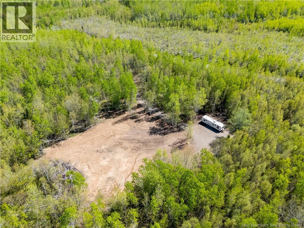 Lot Duguay Point Road, Shemogue, New Brunswick  E4M 3W6 - Photo 9 - NB140796