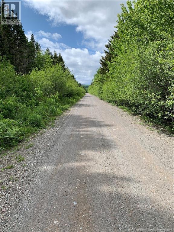 Lot 15-B Burchills Flats, St. Martins, New Brunswick  E5R 1V2 - Photo 4 - NB140631