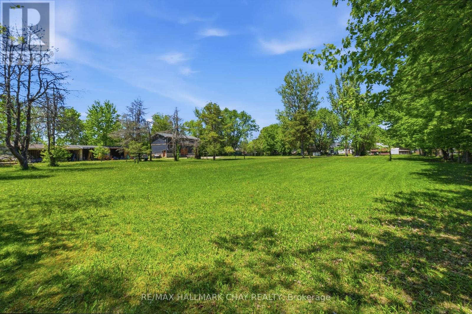 147 Murphy Road, Essa, Ontario  L0M 1B1 - Photo 34 - N13222390