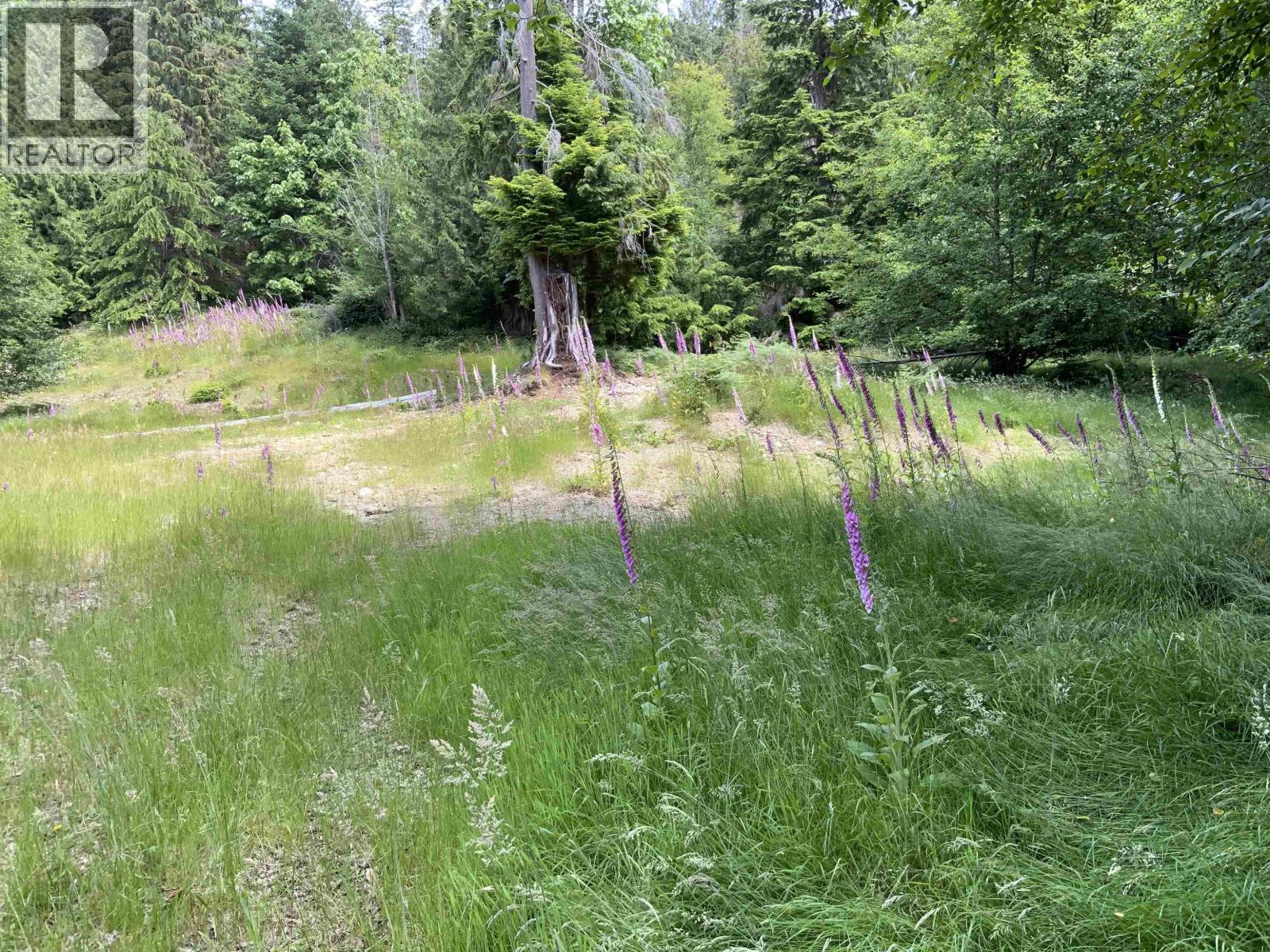 Lot H Cotton Bay Road, Gambier Island, British Columbia  V0N 1V0 - Photo 3 - R3130135